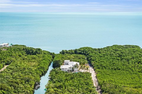 Villa ou maison à vendre à Key Largo, Floride: 5 chambres, 407.38 m2 № 782904 - photo 5