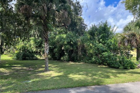 Land in Edgewater, Florida № 1382578 - photo 1