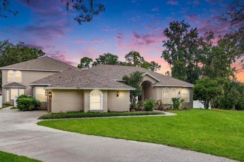 Villa ou maison à vendre à Riverview, Floride: 6 chambres, 509.48 m2 № 1349412 - photo 1