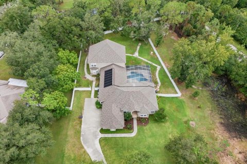 Villa ou maison à vendre à Riverview, Floride: 6 chambres, 509.48 m2 № 1349412 - photo 3