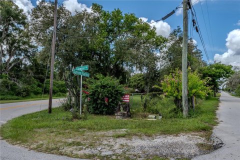 Villa ou maison à vendre à Davenport, Floride: 2 chambres, 53.14 m2 № 1340673 - photo 25