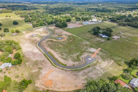 Land in Fruitland Park, Florida № 1377932 - photo 20