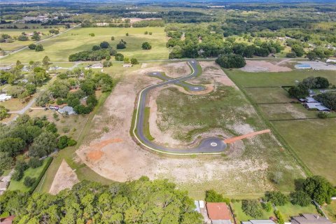 Terreno en venta en Fruitland Park, Florida № 1377932 - foto 21