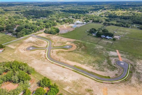 Terreno en venta en Fruitland Park, Florida № 1377932 - foto 19