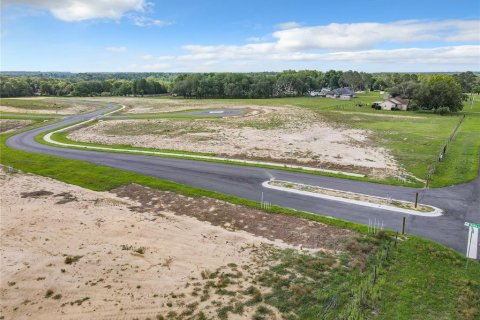 Terreno en venta en Fruitland Park, Florida № 1377932 - foto 9