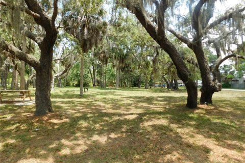 Купить земельный участок в Гудзон, Флорида № 216983 - фото 11