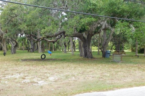 Купить земельный участок в Гудзон, Флорида № 216983 - фото 6