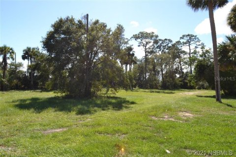 Land in Edgewater, Florida № 1219236 - photo 1