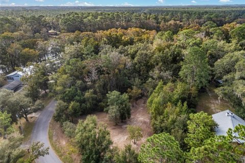 Terreno en venta en Dunnellon, Florida № 1419437 - foto 26