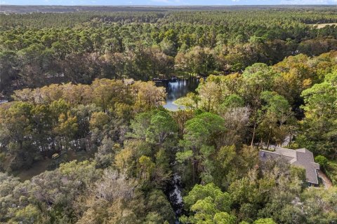 Terreno en venta en Dunnellon, Florida № 1419437 - foto 18