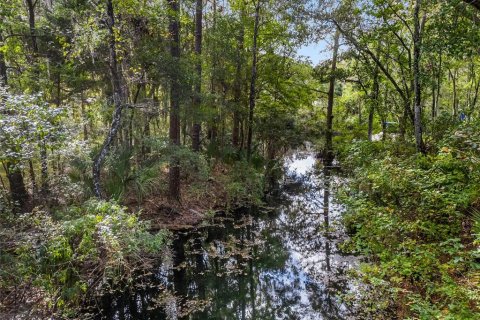 Terreno en venta en Dunnellon, Florida № 1419437 - foto 4