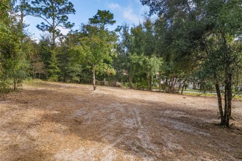 Terreno en venta en Dunnellon, Florida № 1419437 - foto 13