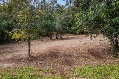 Terreno en venta en Dunnellon, Florida № 1419437 - foto 11