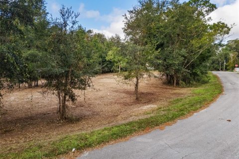 Terreno en venta en Dunnellon, Florida № 1419437 - foto 17