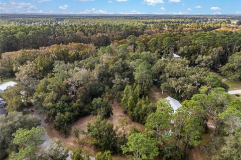 Terreno en venta en Dunnellon, Florida № 1419437 - foto 24