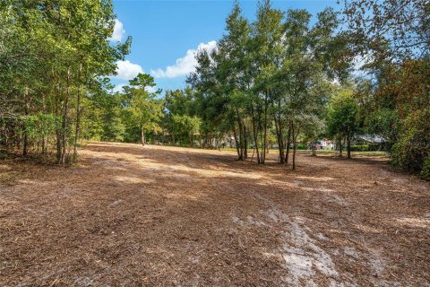 Terreno en venta en Dunnellon, Florida № 1419437 - foto 30