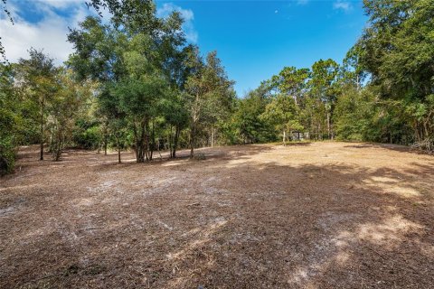 Terreno en venta en Dunnellon, Florida № 1419437 - foto 28