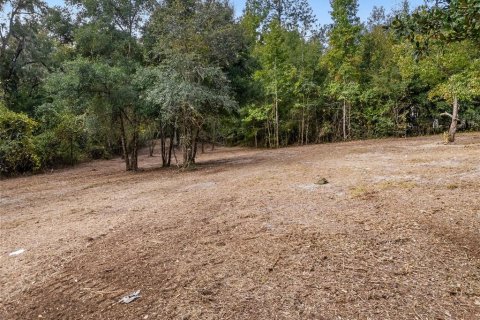 Terreno en venta en Dunnellon, Florida № 1419437 - foto 10