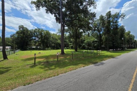 Terrain à vendre à Williston, Floride № 1273631 - photo 5