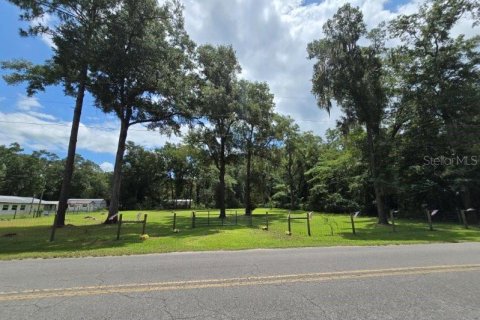 Terreno en venta en Williston, Florida № 1273631 - foto 17