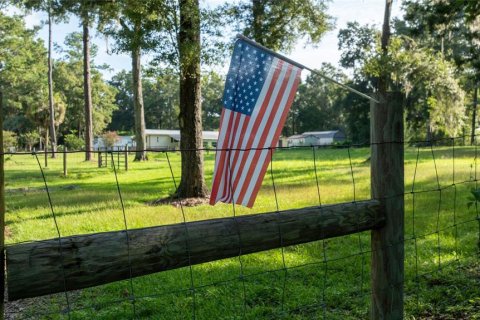 Land in Williston, Florida № 1273631 - photo 23