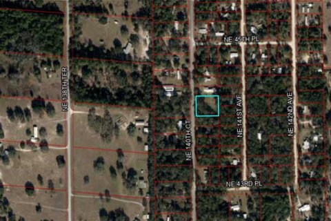 Land in Williston, Florida № 1273631 - photo 9