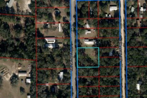 Land in Williston, Florida № 1273631 - photo 10