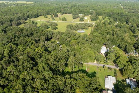 Terreno en venta en Williston, Florida № 1273631 - foto 26