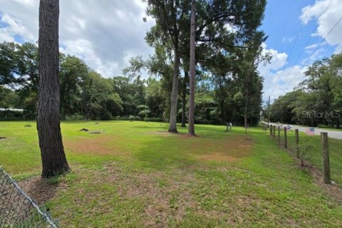 Terrain à vendre à Williston, Floride № 1273631 - photo 3