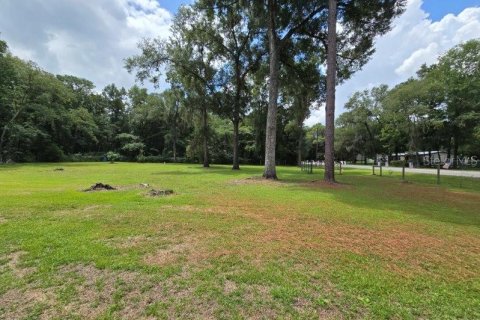 Terreno en venta en Williston, Florida № 1273631 - foto 1