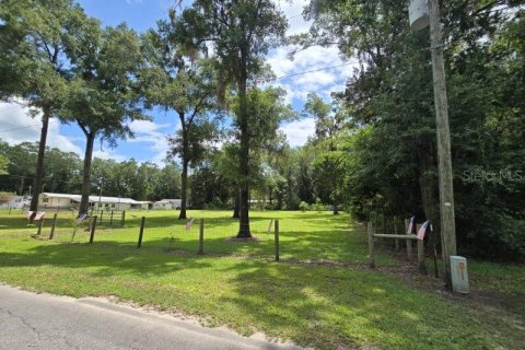 Land in Williston, Florida № 1273631 - photo 7