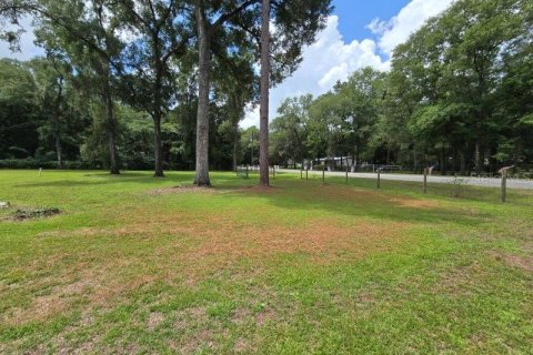 Land in Williston, Florida № 1273631 - photo 2