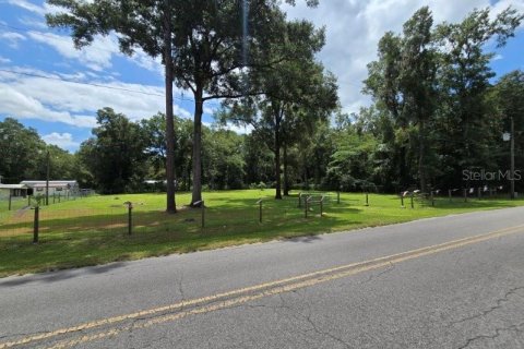 Terrain à vendre à Williston, Floride № 1273631 - photo 6