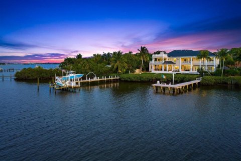 Villa ou maison à vendre à Jupiter, Floride: 5 chambres, 690.64 m2 № 492850 - photo 9