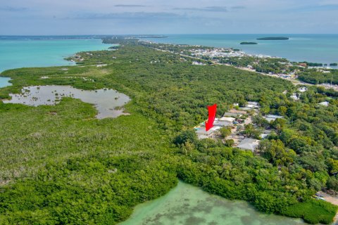Commercial property in Tavernier, Florida 165.55 sq.m. № 973038 - photo 1