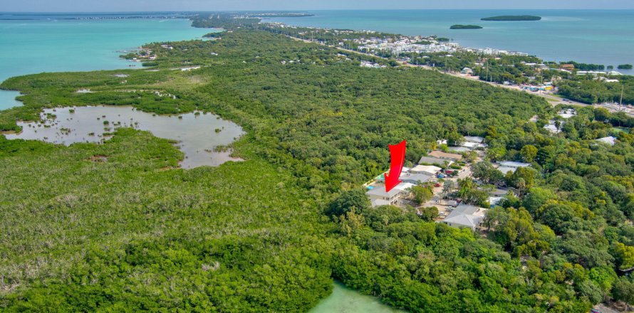 Commercial property in Tavernier, Florida 165.55 sq.m. № 973038