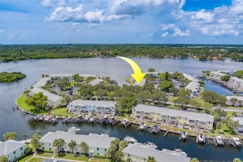 Copropriété à vendre à Saint Petersburg, Floride: 2 chambres, 66.89 m2 № 1350673 - photo 2