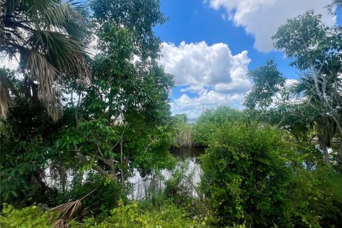 Land in Cape Coral, Florida № 1386442 - photo 1