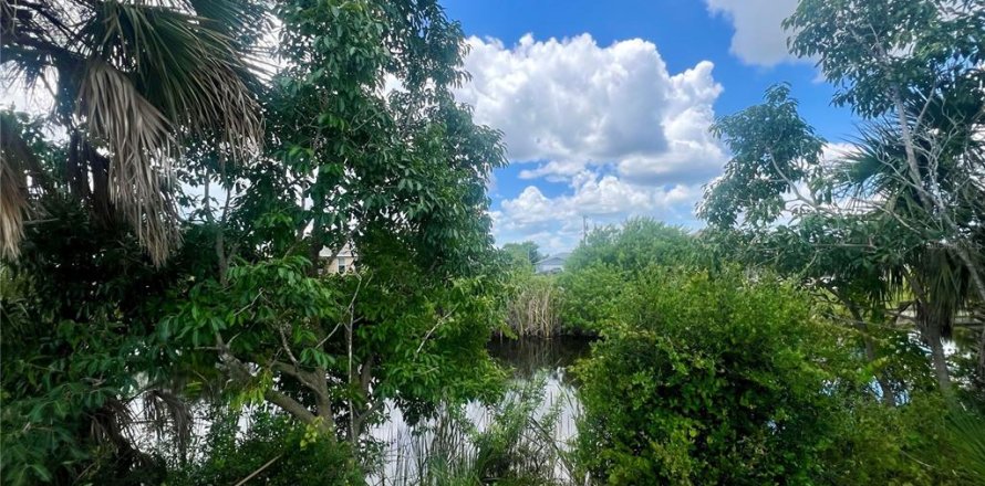 Terrain à Cape Coral, Floride № 1386442