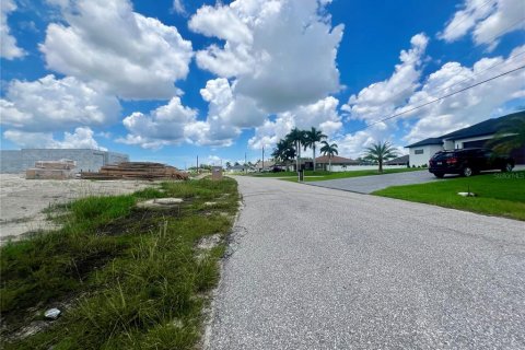 Land in Cape Coral, Florida № 1386442 - photo 3