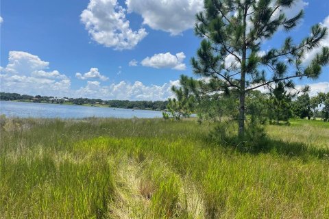 Land in Umatilla, Florida № 1288106 - photo 17