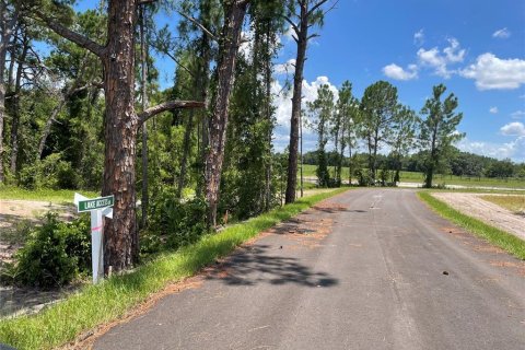 Land in Umatilla, Florida № 1288106 - photo 7