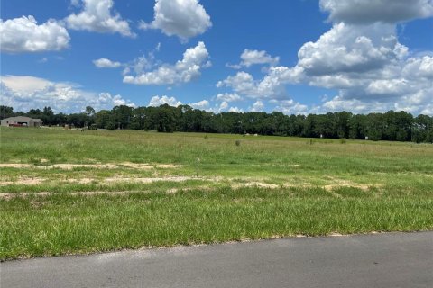 Terrain à vendre à Umatilla, Floride № 1288106 - photo 6