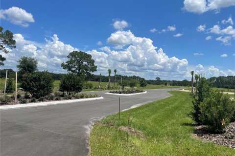 Land in Umatilla, Florida № 1288106 - photo 19