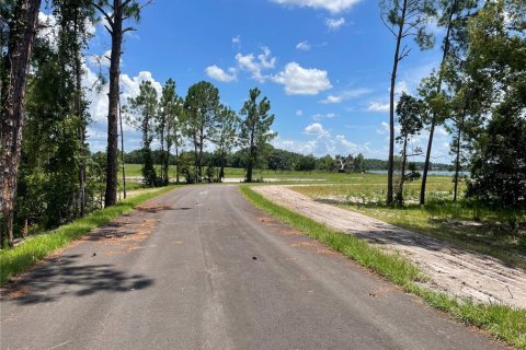 Terreno en venta en Umatilla, Florida № 1288106 - foto 8