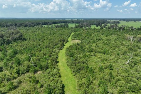 Terreno en venta en Morriston, Florida № 1374726 - foto 9