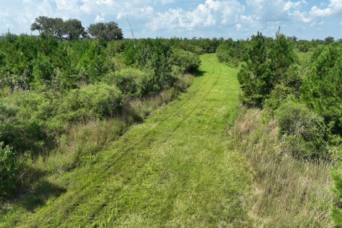 Land in Morriston, Florida № 1374726 - photo 11