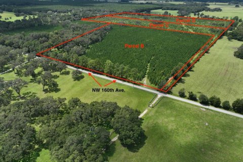 Terreno en venta en Morriston, Florida № 1374726 - foto 1