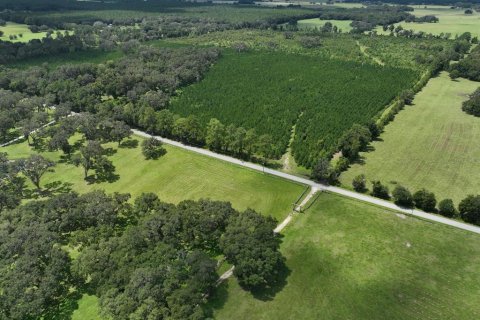 Terreno en venta en Morriston, Florida № 1374726 - foto 5