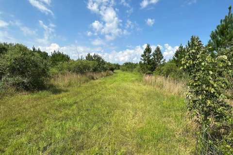 Terreno en venta en Morriston, Florida № 1374726 - foto 8